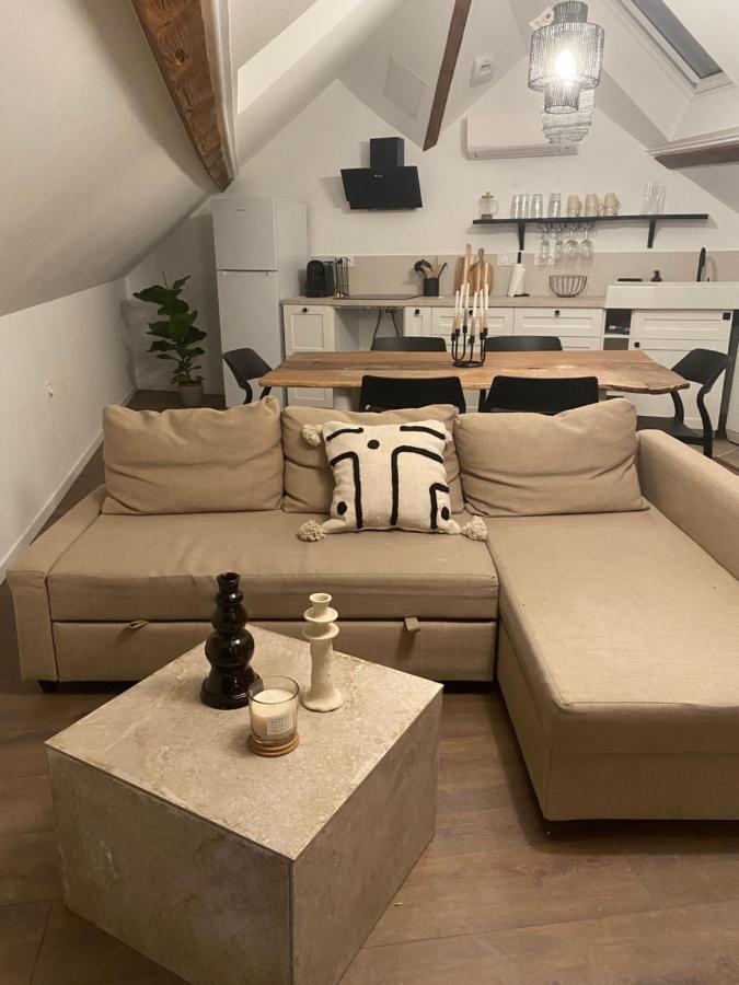 Apartamento T3 Kokon Lumineux & Chaleureux, Parking, Climatisation Bagnères-de-Bigorre Exterior foto